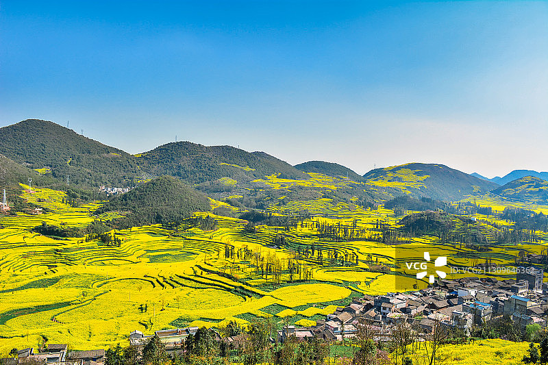 罗平油菜花海螺丝田图片素材