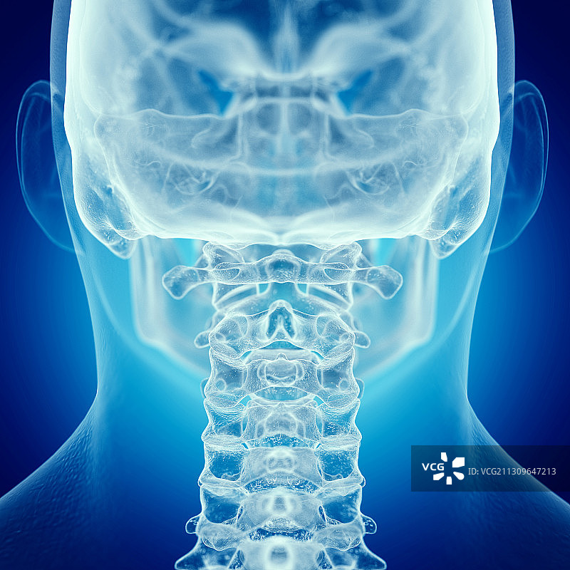 颈椎插画图片素材