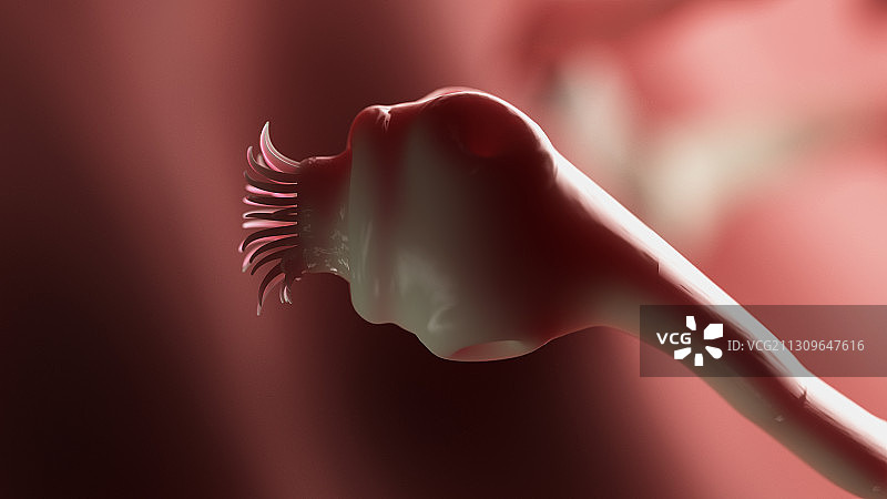 绦虫插画图片素材