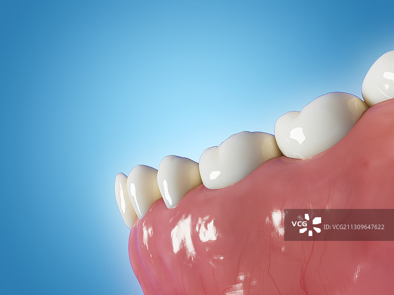 人类牙齿插画图片素材