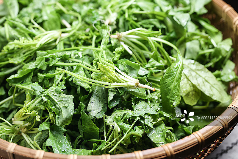 放在竹筐里的荠菜野菜图片素材