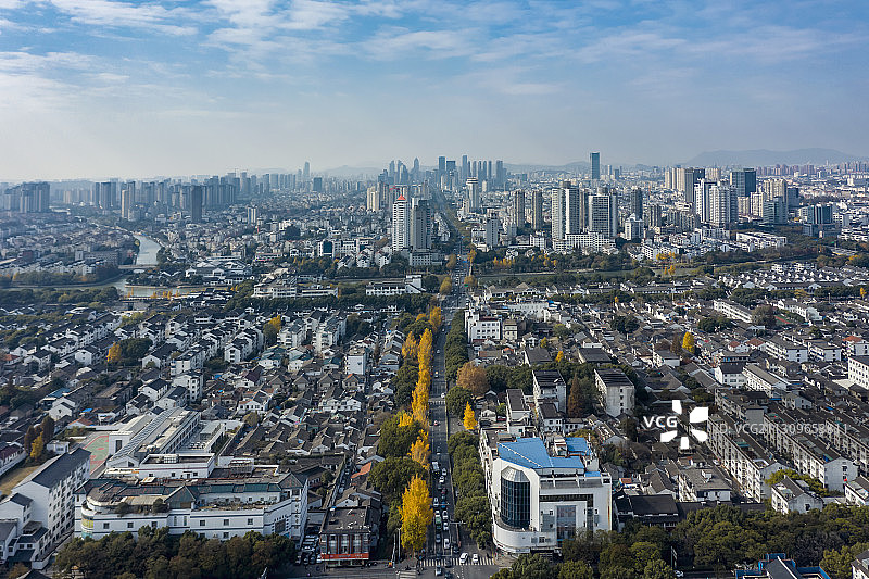 苏州姑苏区道前街的银杏黄了图片素材