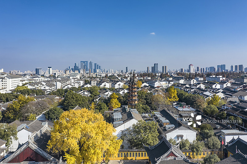 苏州姑苏区定慧寺的银杏黄了图片素材