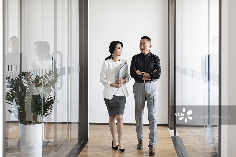 商务人士讨论工作图片素材