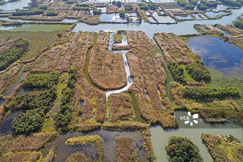 “中国最美湿地”浙江省湖州市德清县下渚湖航拍图片素材