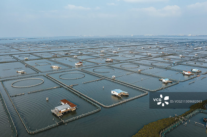 阳澄湖蟹塘图片素材