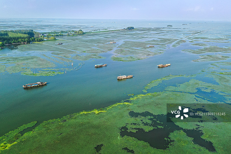 广袤的骆马湖+江苏省宿迁市宿豫区皂河镇骆马湖图片素材