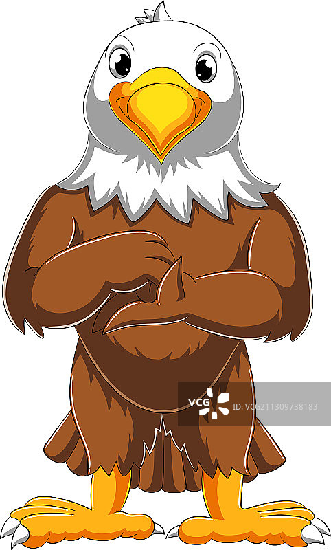 摆姿势的可爱卡通鹰图片素材