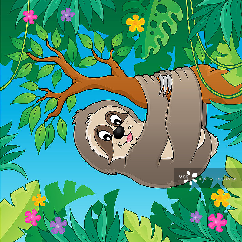 树枝上的树懒主题图片2图片素材