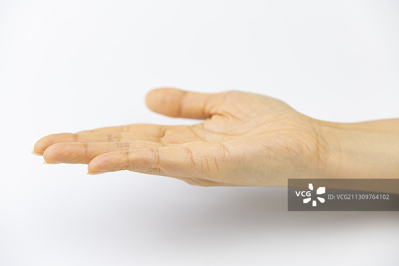 白色背景中的一支女性手掌图片素材