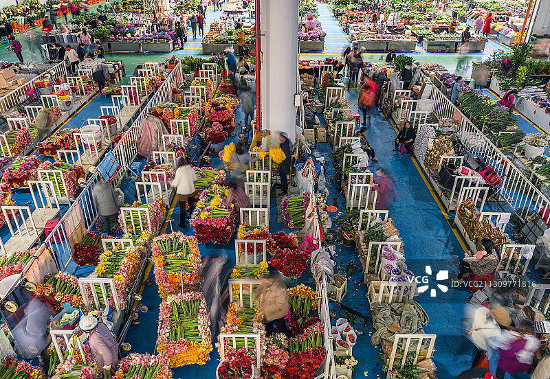 昆明斗南花卉交易市场图片素材