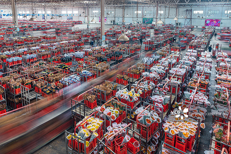 昆明斗南花卉交易市场图片素材