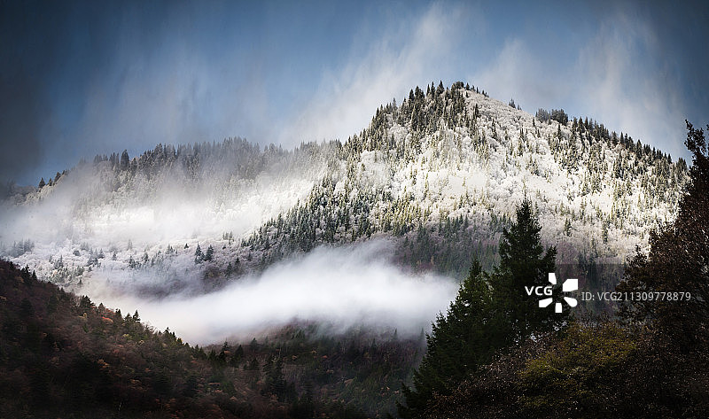 《升腾》拍摄于中国四川阿坝州黑水县。图片素材