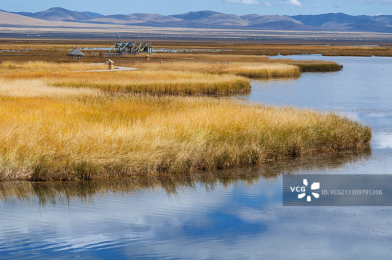 四川若尔盖花湖秋景图片素材