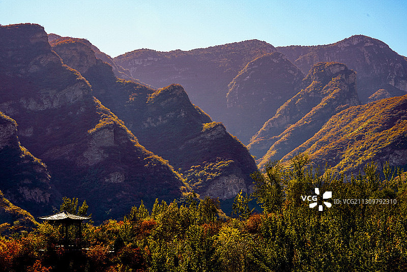 坡峰岭红叶（18）2020-10-24图片素材