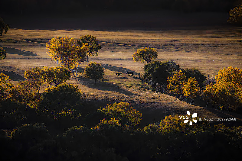 草原深秋图片素材