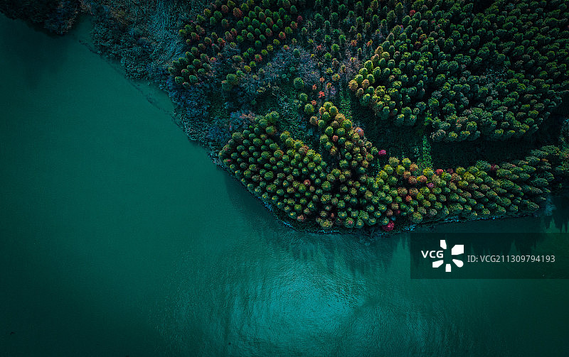 滇池水岸图片素材