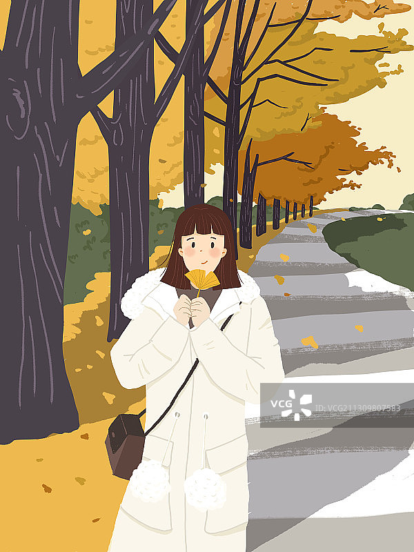 11月/银杏黄了图片素材