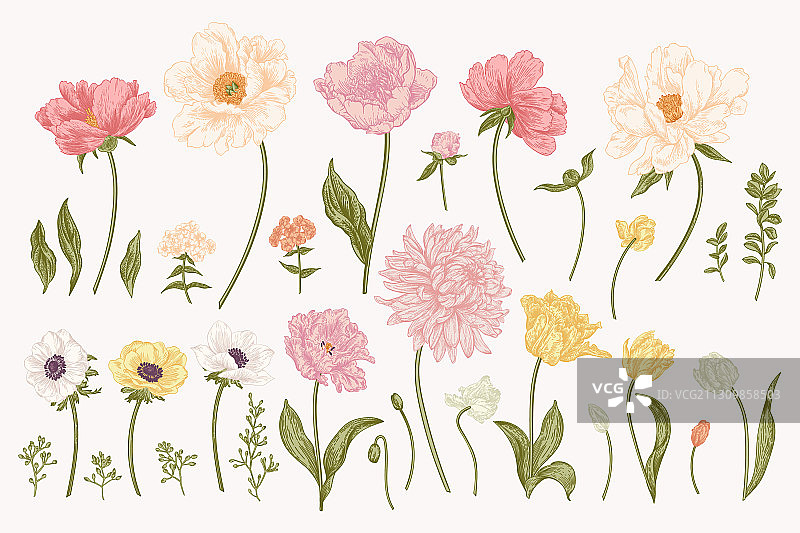 花园花卉图案图片素材