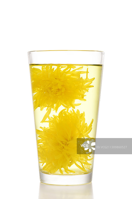 菊花茶图片素材