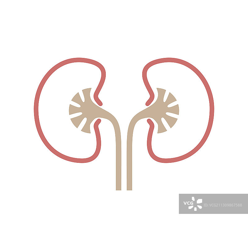 肾脏符号图片素材