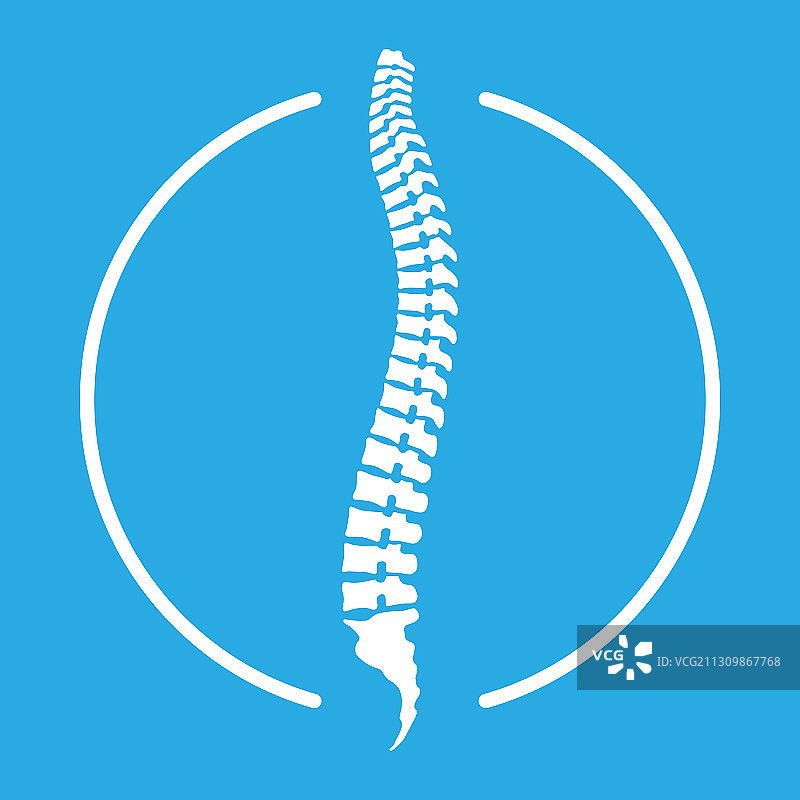 脊椎图标图片素材