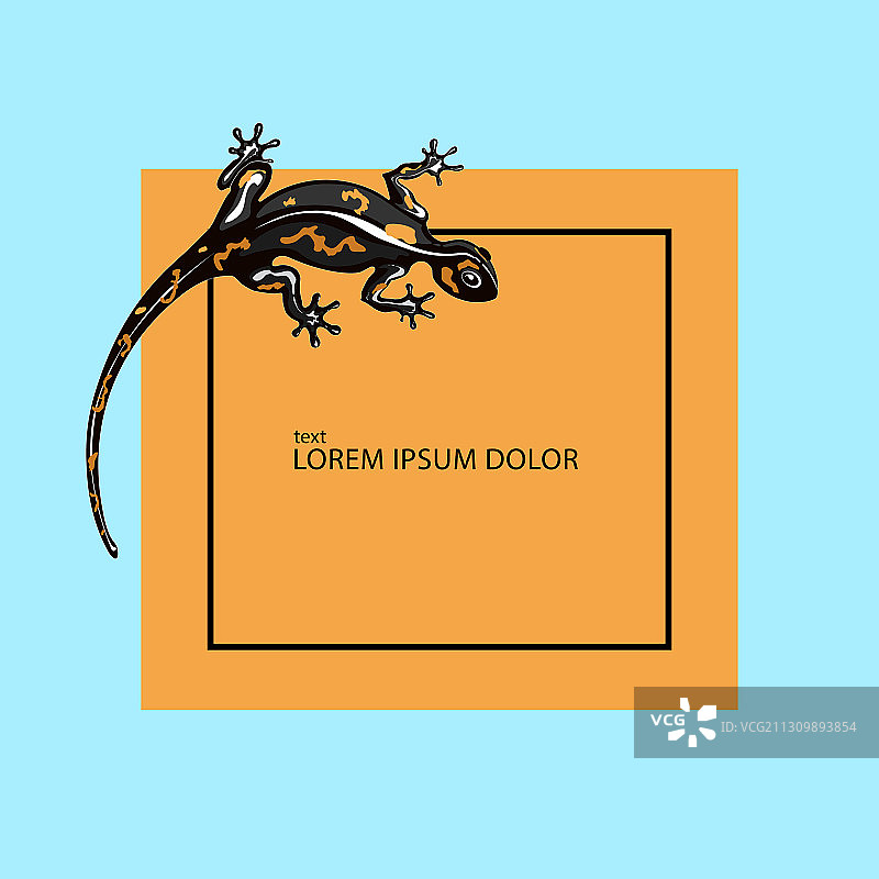 蜥蜴logo设计模板伊瓜纳图标图片素材