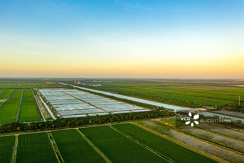 航拍上海崇明农田日落图片素材