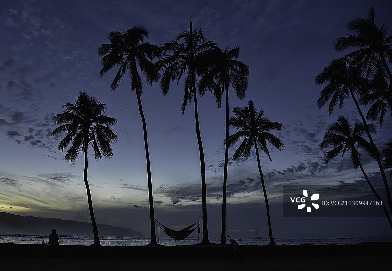 黄昏时分夏威夷哈雷瓦海滩上的棕榈树剪影图片素材