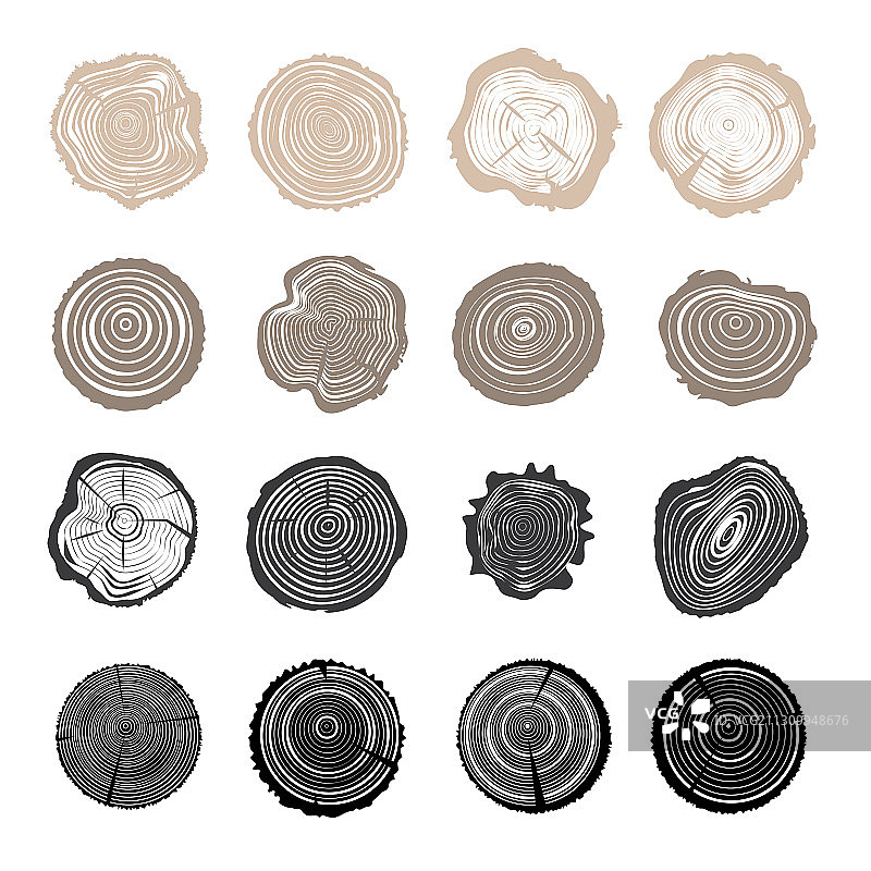 树干切片或木材横截面合集图片素材