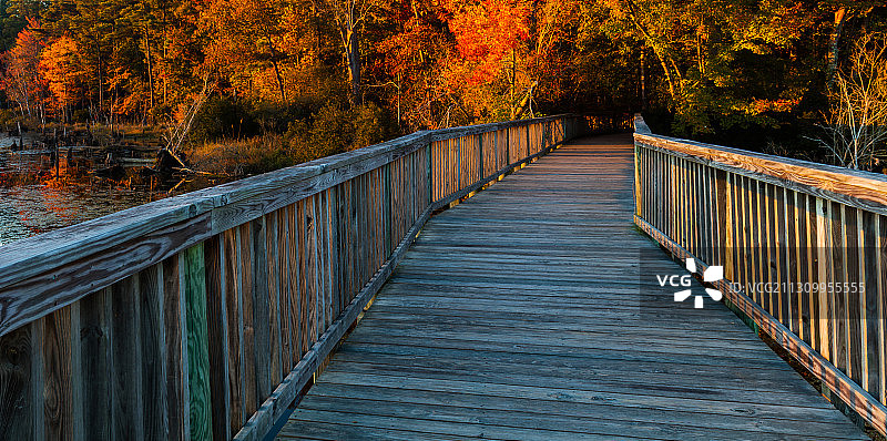 美国弗吉尼亚州纽波特纽斯秋季树木间的空人行天桥图片素材