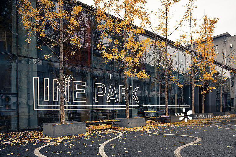 杭州东信和创园秋景图片素材