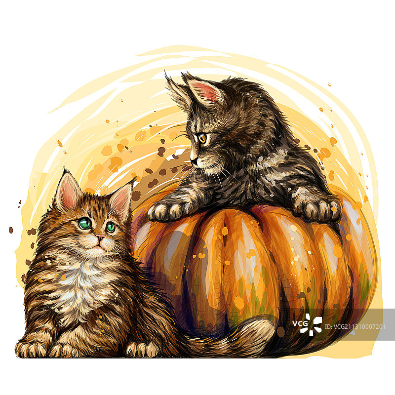 水彩风格的小猫和南瓜图片素材