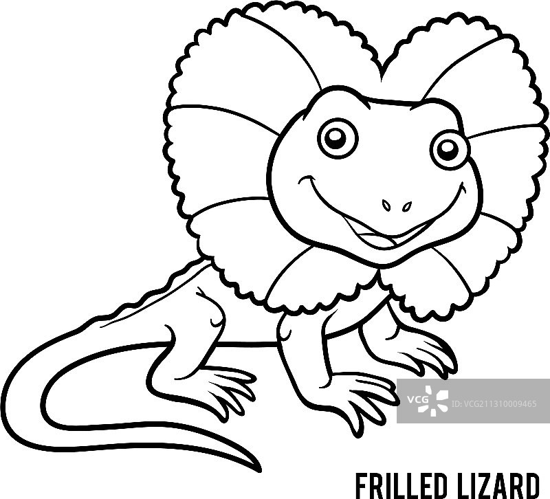 蜥蜴填色书图片素材