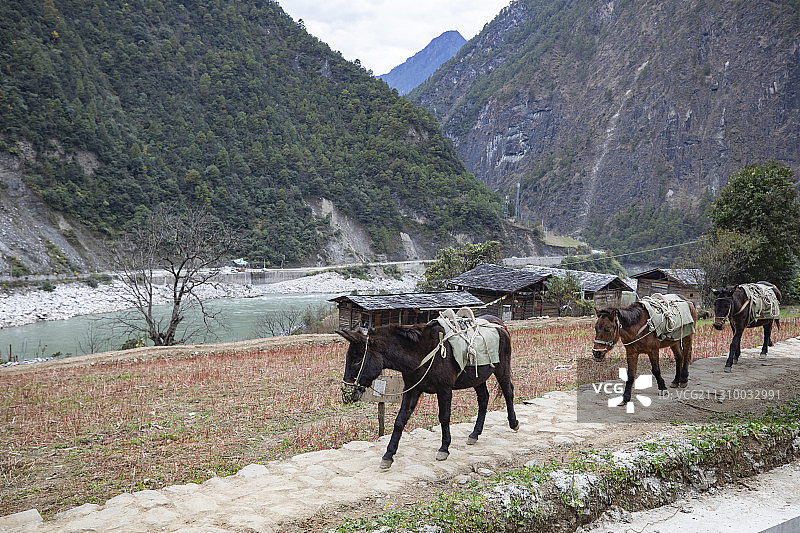 怒江大峡谷图片素材