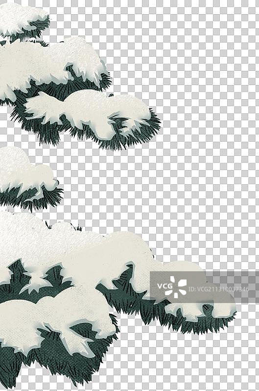 松树和雪图片素材
