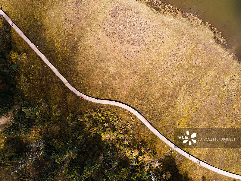 秋季普达措属都湖栈道图片素材