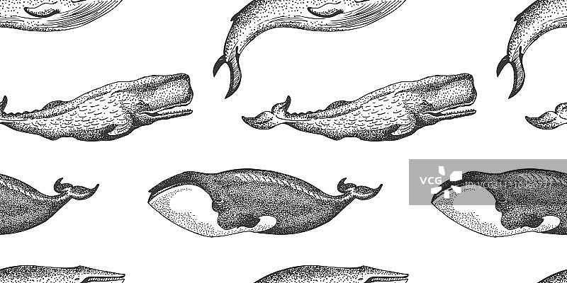鲸鱼图案的无缝图形图片素材