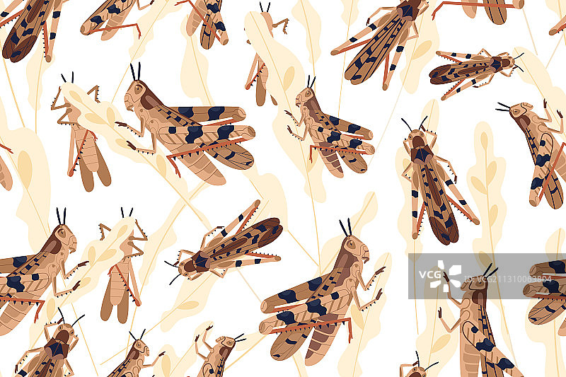 蝗虫群攻击稻田无缝贴图图片素材
