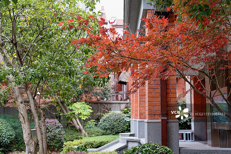 思南公馆的秋色图片素材