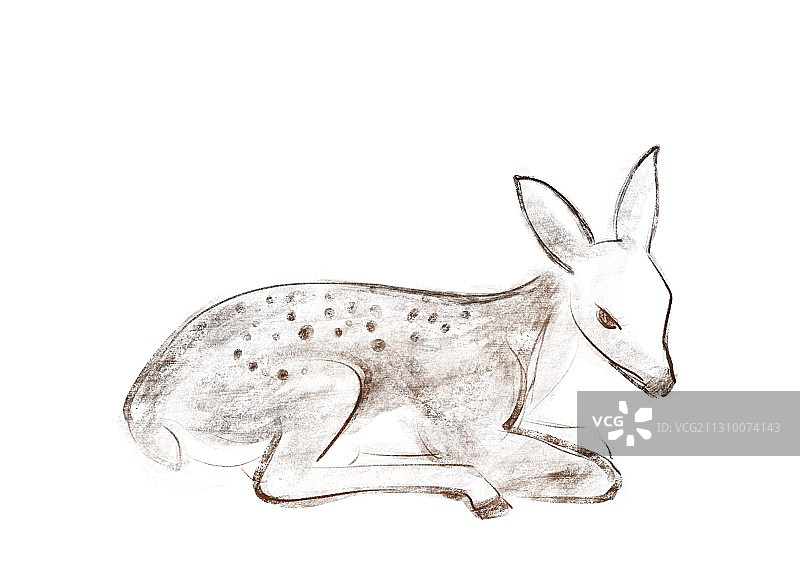 古典素描野生动物标本梅花鹿图片素材