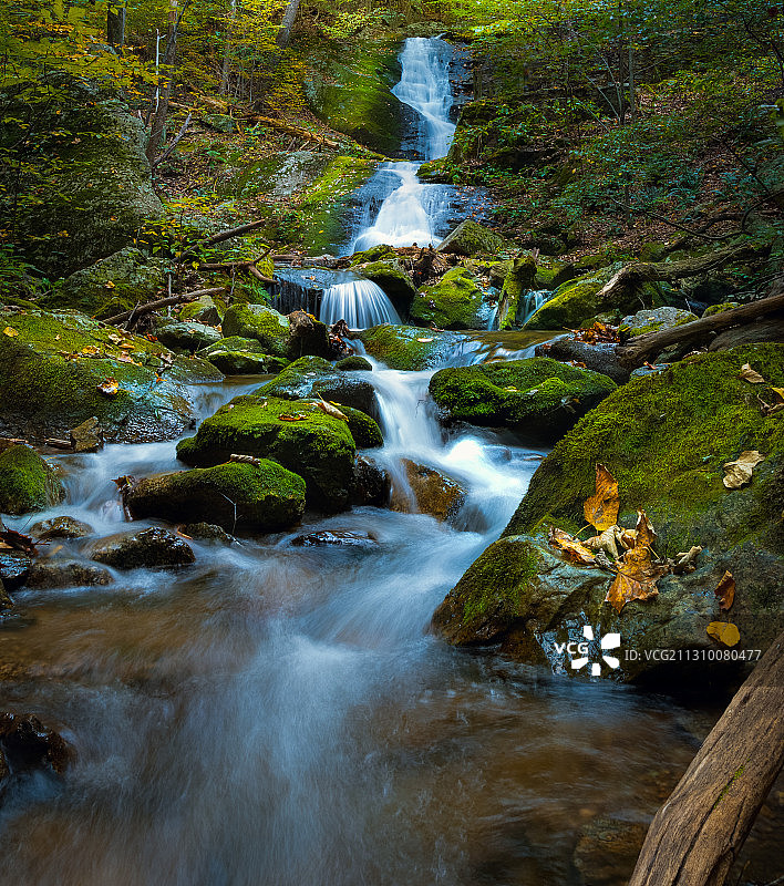美国蟹树瀑布森林风光图片素材