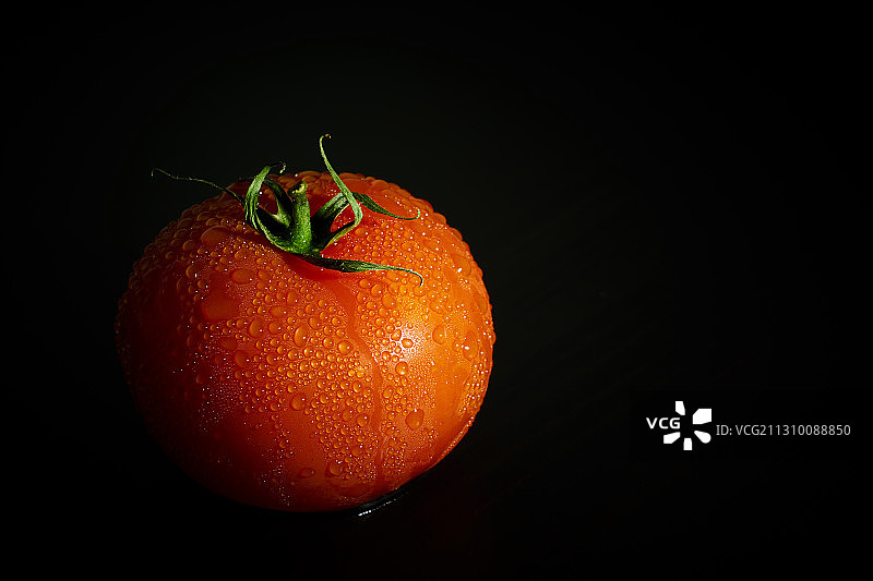 黑色背景下的番茄特写图片素材