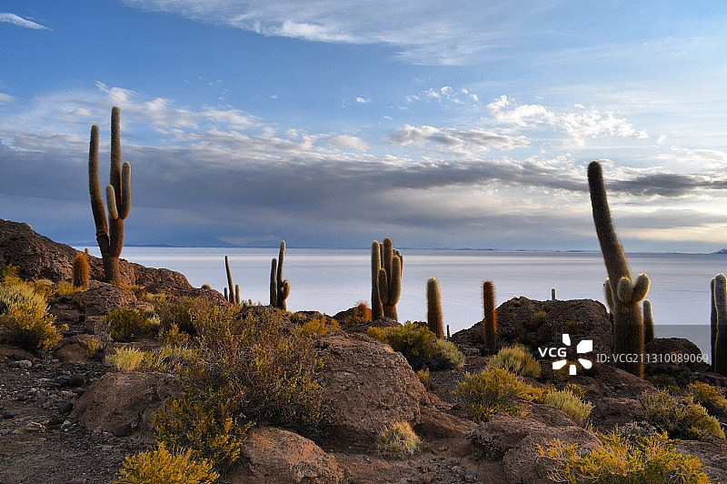 玻利维亚乌尤尼盐沼田野岩石景观图片素材