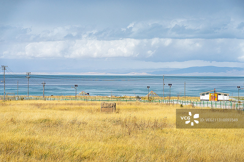 一望无际的青海湖畔，是黄澄澄的草地图片素材