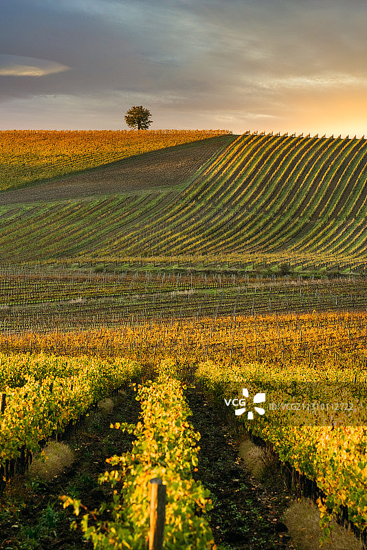 天空映衬下的农田风景图片素材
