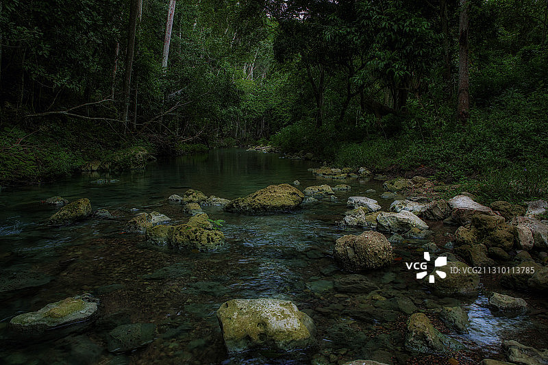 古巴马坦萨斯圣胡安河森林河流风光图片素材