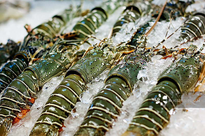 市场出售的鱼的俯视图图片素材