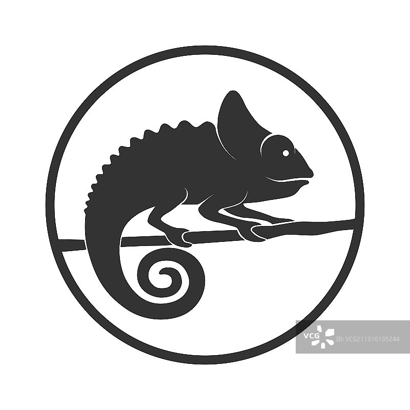 变色龙标志图片素材