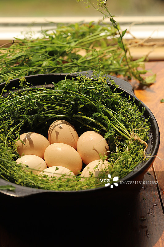 荠菜煮鸡蛋图片素材